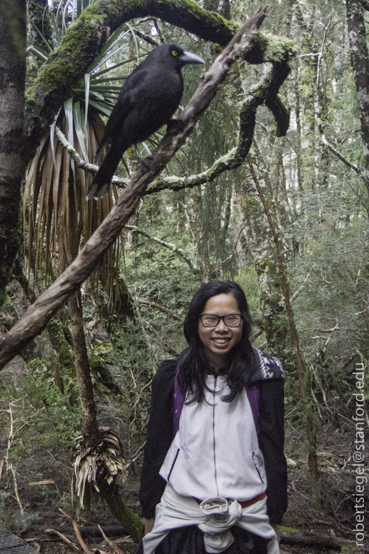 Haiy and her faithful currawong
